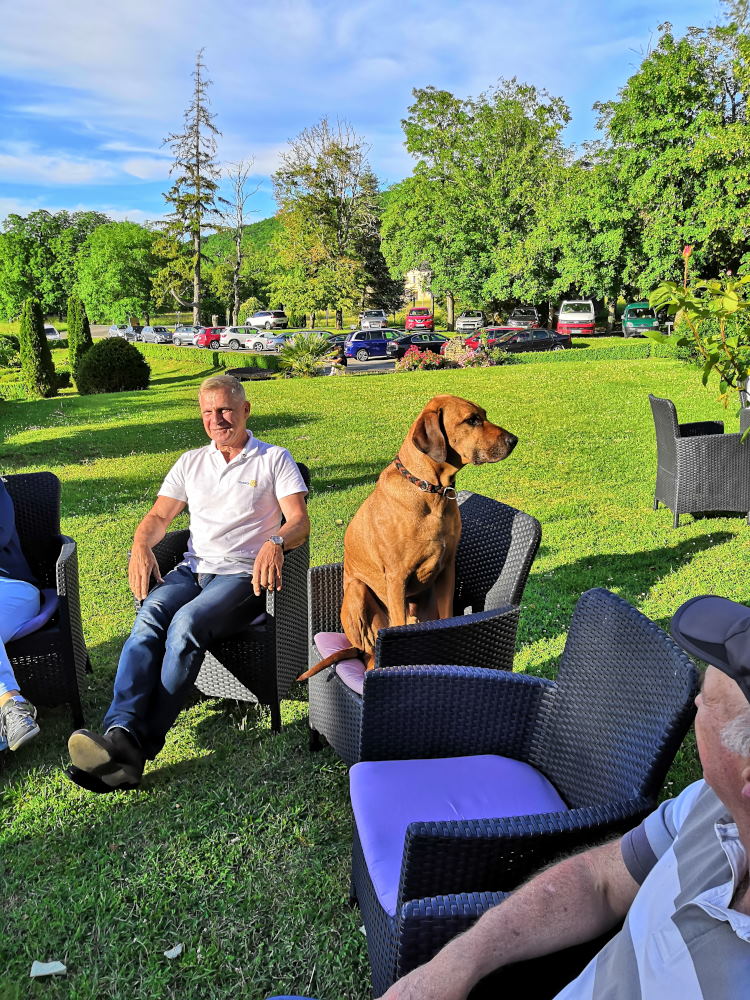 Le Chien d'Hubert