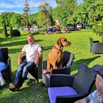 Le Chien d'Hubert